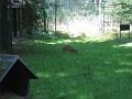 Zoo Cottbus 124